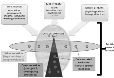 Figure 1.1. Figure 1.1 The streamed social determinants of healt h and types of exclusions The streamed social determinants of health and types of exclusions  