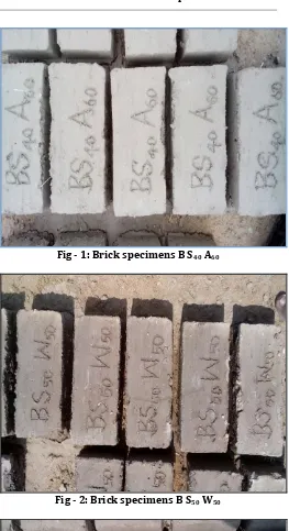 Fig - 1: Brick specimens B S40 A60 