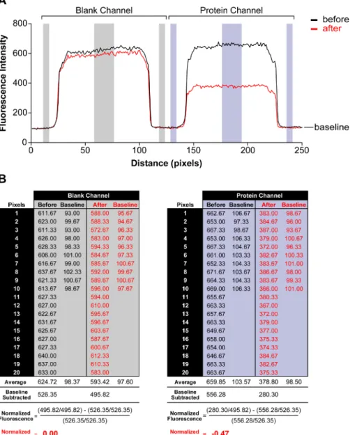 Figure 7: Sample calculation for data processing. (A) Before (black) and after (red) protein titration line scan data for blank (no protein) and protein channel, where fluorescence intensity data is presented as a function of distance in pixels