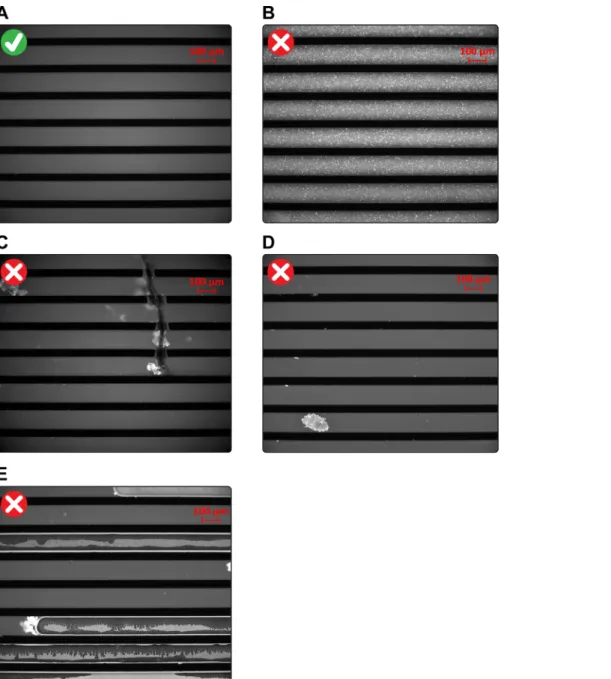 Figure 8: Assessing the integrity of SLBs and microchannels. (A) An image illustrating high-quality SLBs and microchannels