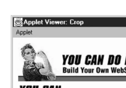 Figure 12–7: Image cropping example output.