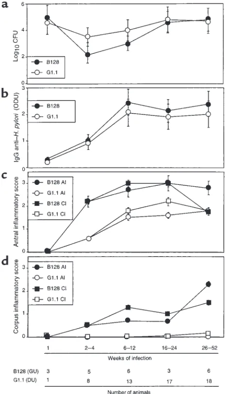 Figure 1Comparison of colonization density (