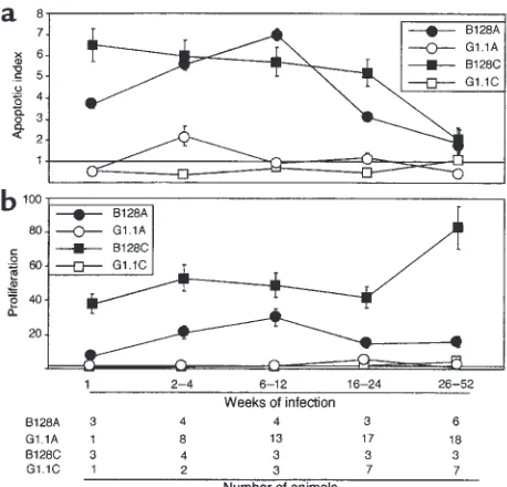 Figure 2 strains differentially alter gastric epithelial cell apoptosis