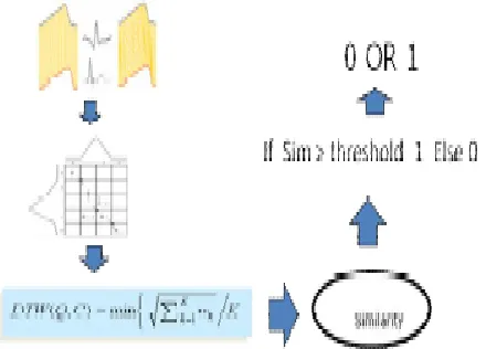 Figure 2.1.d  Extraction template shapes of PVC’s and N 