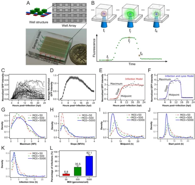 Figure 2. A microfluidic device and experimental paradigm for single-cell analysis of viral  infections