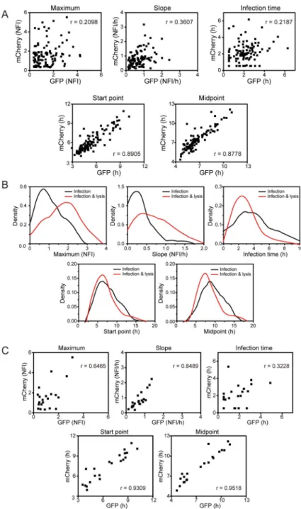 Figure 5. Contribution of virus or host to the parameters describing viral infection of single cells  and determinants of a non-lytic outcome of infection