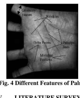 Fig.3 features of finger print image 