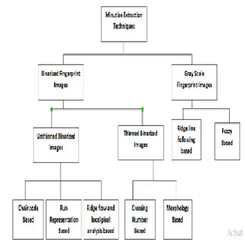 Fig 8: Classification of Minutiae Extraction Techniques   