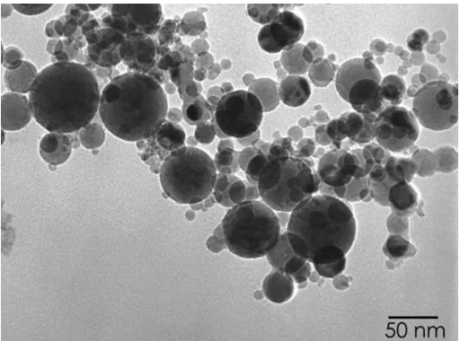 Figure 2 SEM of iron oxide nanoparticles (Given by supplier) 