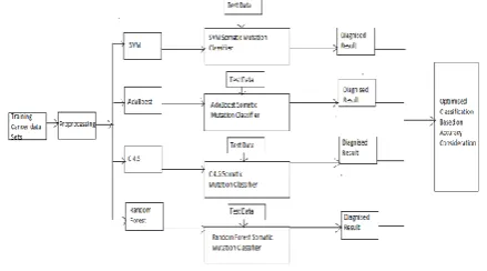 Figure 1: A Frame Work for Classifying Cancer Data Sets with Accuracy Measurement. 