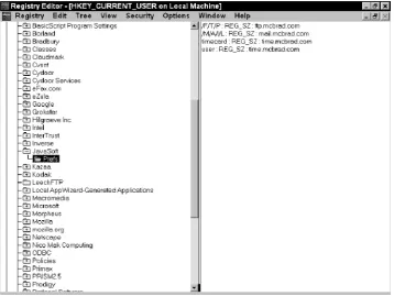 Figure 3.1Preferences stored in the Windows Registry.