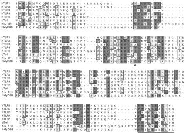 Figure 1Sequence alignment of theintracellular signaling domainsof representative members ofTLR/IL-1 receptor family