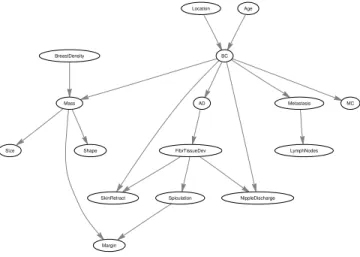 Fig. 6. The structure of the Bayesian network for breast cancer diagnosis.
