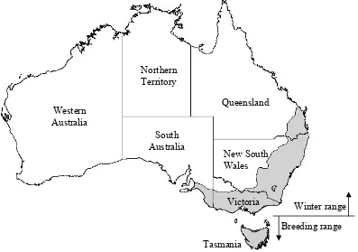 Figure 5 – Distribution of the swift parrot in south eastern Australia 
