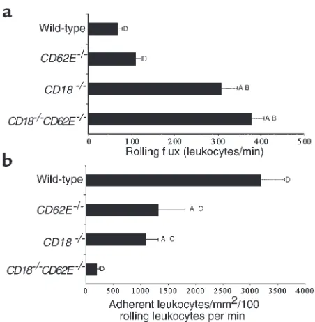 Figure 7Leukocyte rolling and adhesion in TNF-α–treated cremaster muscle 