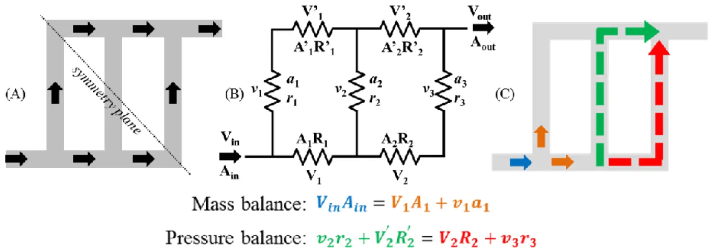 Figure  2.12  (A)  Schematic diagram and  (B)  electrical representation of a Z-configuration network  with  three parallel channels