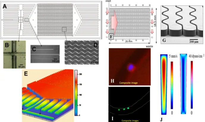 Figure 2.1 (Left) Schematics of the first generation, high-throughput CTC selection device showing: (A) A  scaled AutoCAD diagram of the sinusoid capture channels with brightfield optical micrographs;  (B) the  integrated conductivity sensor consisting of 