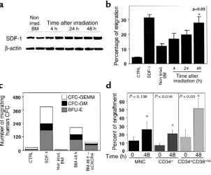 Figure 3Increased levels of SDF-1 after TBI. (for progenitors migrating to NOD/SCID BMCM collected before or 48 hours after TBI,without or with anti-CXCR4 Ab pretreatment.(CD34of human CD34mRNA expression in the BM of twoNOD/SCID mice per time point