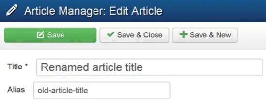 Figure 11-3. 404 error logged in the Redirect Manager