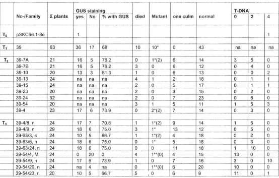 Table 7.1 Segregation of pSKC66.1 ~8e mutant line and their T -DNA copy numbers. *, mutant plants with staining; **, mutant plants without staining; ( ), T-DNA insertion within mutant plants; na, plants were not analysed