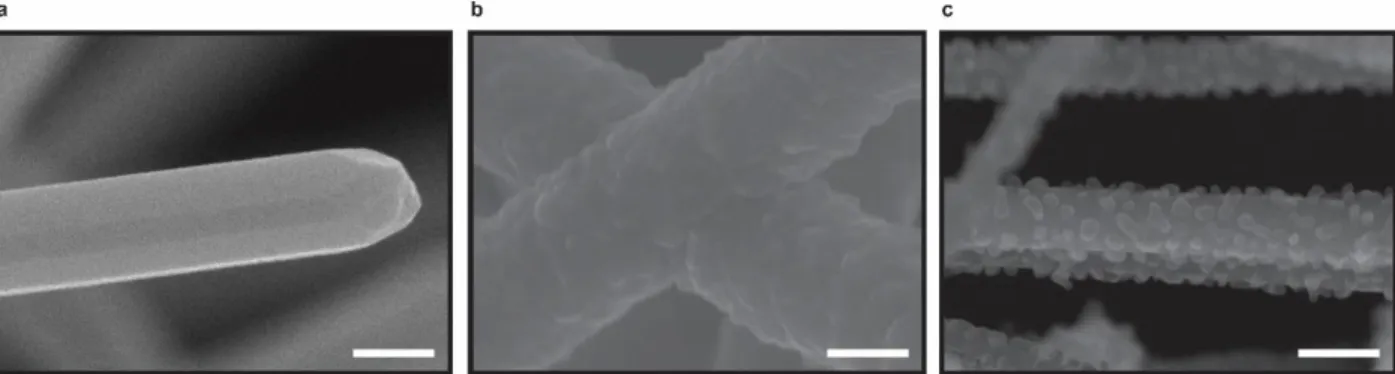 Fig 3.3a and 3.3b compare the results of the previously successful VS shell deposition to  the  polycrystalline  result  that  occurs  with  growth  post  collapse