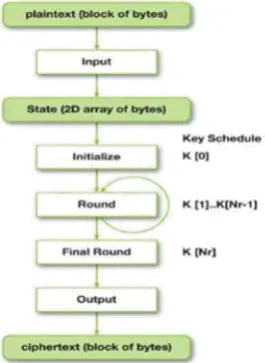 Fig 2.2.3 AES Algorithm 