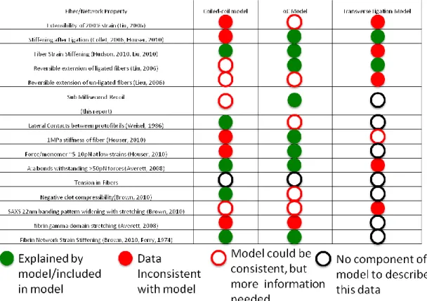 Table 1.1 A comparison of the potential models for fibrin mechanical properties: A  green  circle  represents  a  molecular,  fiber  level,  or  network  level  property  that  is  explained by the model, a red filled circle represents a property that is n