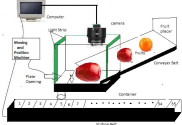 Fig. 3 Proposed Automatic Fruit Sorting System. 