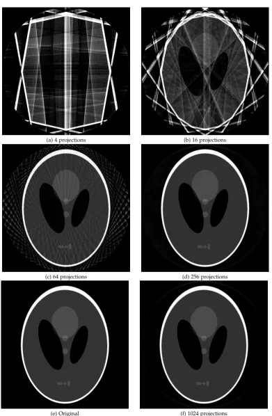 Fig. 1.12: Cone-beam reconstruction: FBP for (a) 4, (b) 16 (c) 64, (d) 256 and(f) 1024 projection angles, and (e) original phantom image.