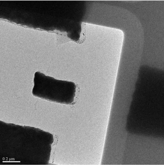 Figure 3.3.7 TEM image of a finished device with one fully suspended CNT and a pedal  on it