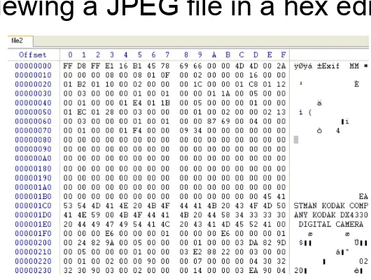 Figure 1.1FIGURE 15.3 Beginning of a JPEG-encoded EXIF file.