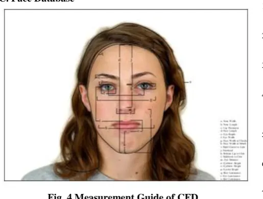Fig. 4 Measurement Guide of CFD 