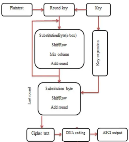Fig. 3 Block diagram of the proposed SDRR with DNA cryptography 