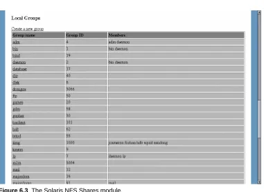 Figure 6.3  The Solaris NFS Shares module.