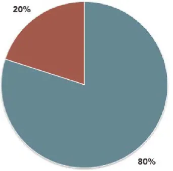 FIGURE 6:  CITIES WITH ACCESSIBLE DATA FORMATS 