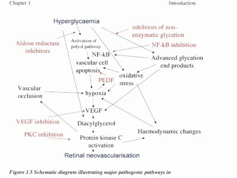 Figure 1.5 Schematic diagram illustrating major pathogenic pathways in 