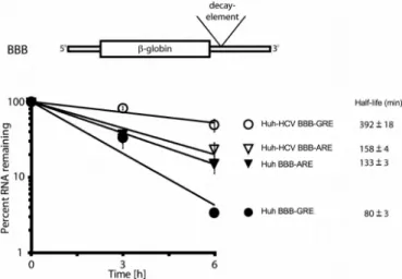Figure 2. NS5A target transcripts are highly enriched for transcript stabi- stabi-lization and up-regulation