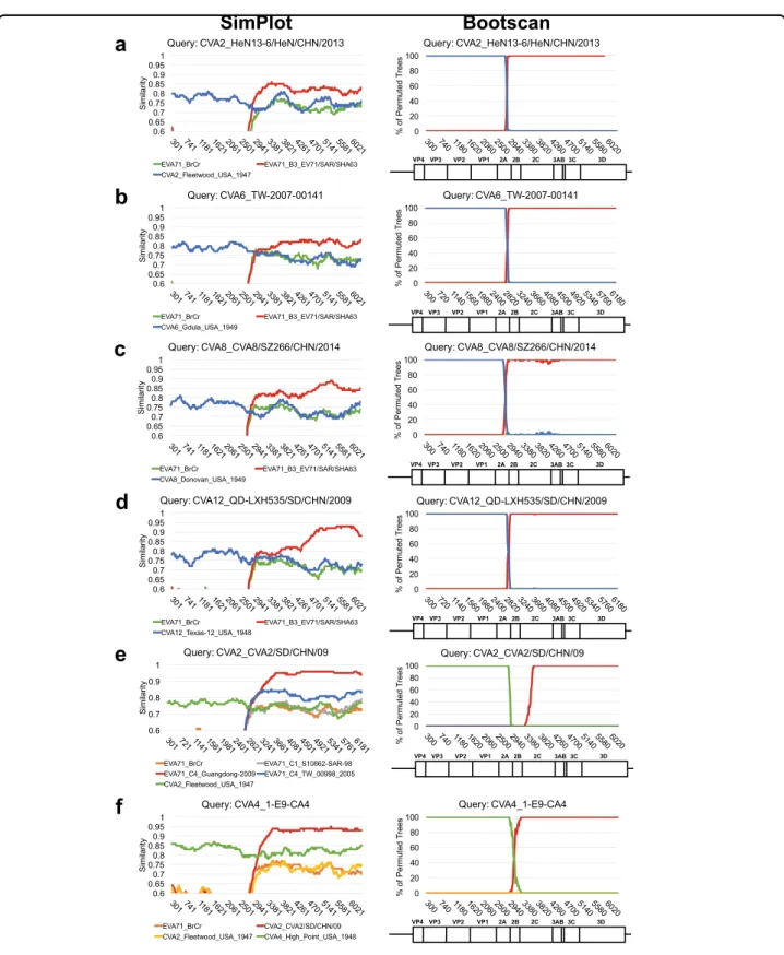 Fig. 5 SimPlot analyses of currently circulating EV-71 and CVs. Recombination among the currently circulating CVs was examined