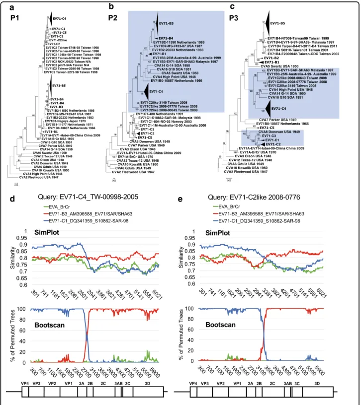 Fig. 3 Intratypic recombination revealed by cross-genotypic patterns in ML trees of subgenomic EVA-71 sequences