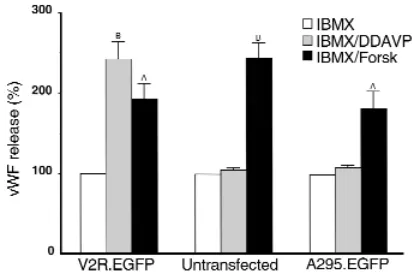 Figure 2DDAVP-mediated vWF secretion from cells expressing V2R.EGFP.