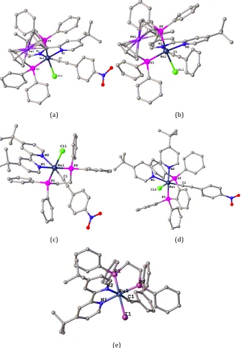 Figure 2.16 Molecular geometry and atomic labeling scheme for cis-Ru(C≡C-4-