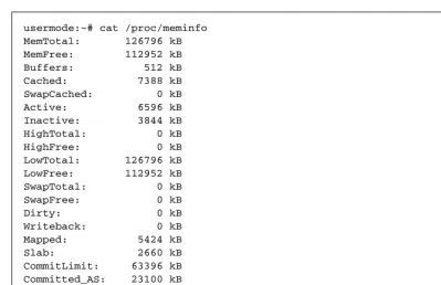 Figure 2.6 The UML /proc/meminfo