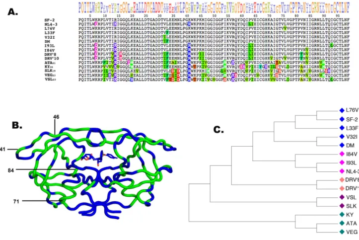 Figure 1. Proteases derived from multiple ancestors converge evolutionarily to drive resistance A