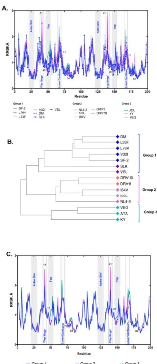 Figure 2. Protease dynamics may be indicative of resistance