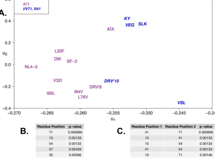 Figure 3. Variations in mean hydrogen bond occupancies delineate susceptibility of variants A
