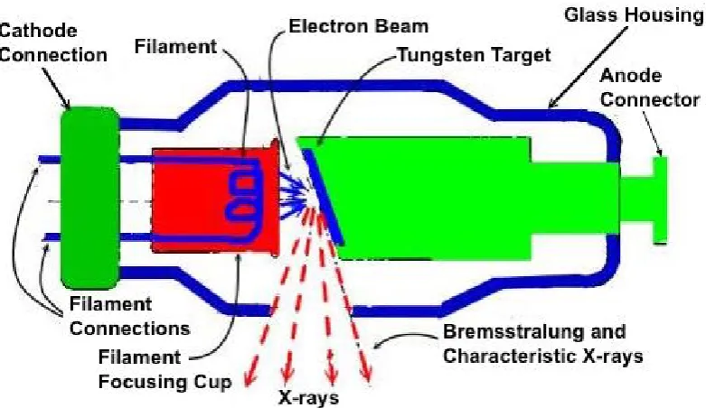 Figure 1.1:Schematic overview of an X-ray source tube and its component(http://doctorspiller.com/Dental%20radiologyx-ray_characteristics.html).