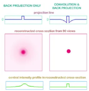 Figure 1.14:The blur around the reconstructed image after back-projectionreconstruction and the correction of the blur using a ﬁlter (http://bruker-microct.com/home.htm).