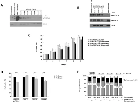 Figure 1: Constitutive activation of IL-6 signaling and phenotype characterization. A
