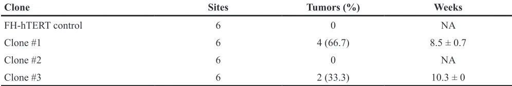 Table 2: Tumor formation in athymic nude mice