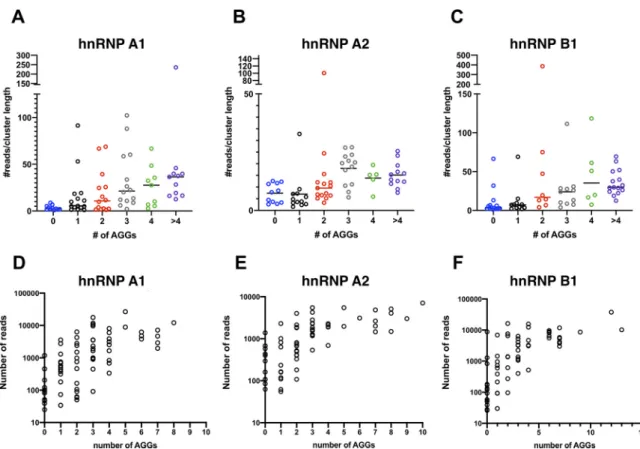FIG 6 Increased occurrence of AGG motifs correlates with increased read density in hnRNP A1-, hnRNP A2-, and hnRNP B1-bound viral clusters